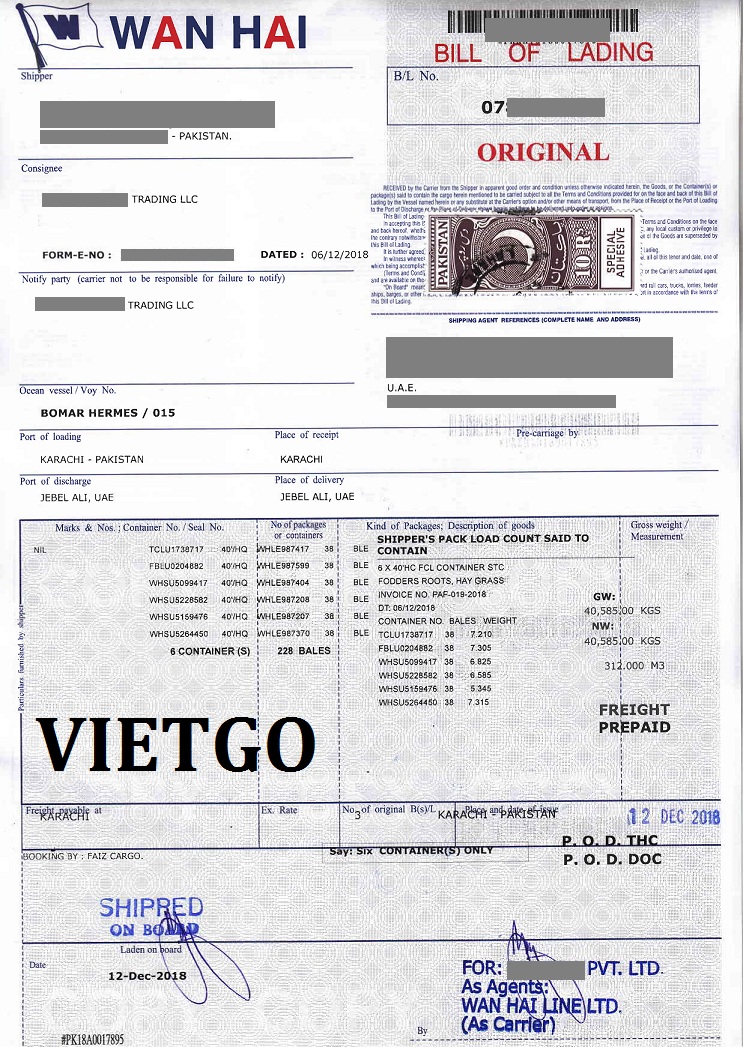 giaya4-vietgo-020219 